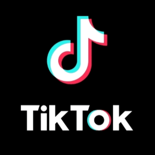 My tiktoks followers! Roblox gameplay screenshot