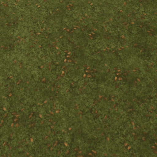 dig to china Roblox gameplay screenshot