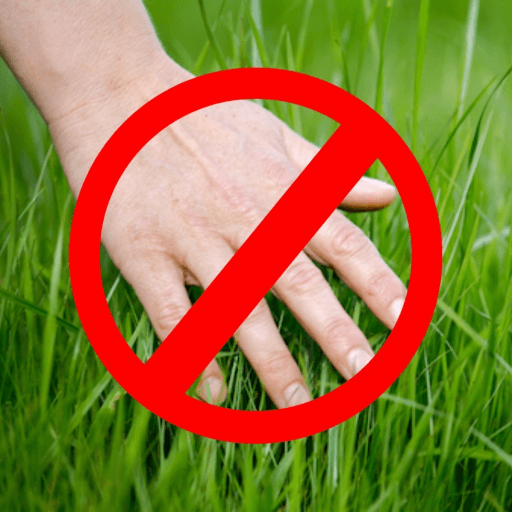 Don't Touch Grass Roblox game thumbnail