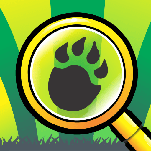 Find the Turtles Roblox game stats