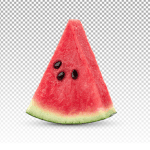 Watermelon Works Roblox developer avatar