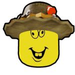 Protect Everything Roblox developer avatar