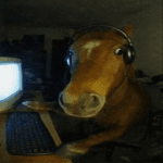 DevHorsey Studios A Roblox developer avatar