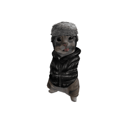 jjjwithmostjjj Roblox developer avatar