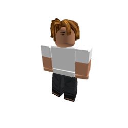 D4nScripts Roblox developer avatar
