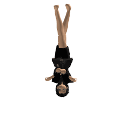 Northcelebes Roblox developer avatar