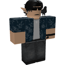 Floridoit Roblox developer avatar