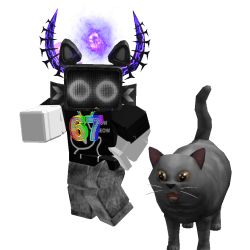 Surep_fox Roblox developer avatar