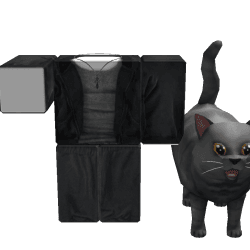 3eyin Roblox developer avatar