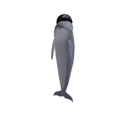 SeagullDevGuy Roblox developer avatar