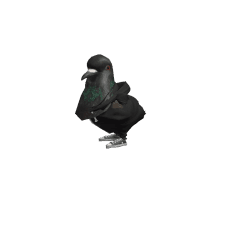 windan_ax Roblox developer avatar