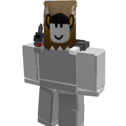 bari0901 Roblox developer avatar