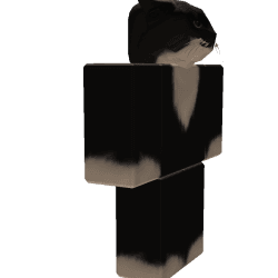 bartosz2708 Roblox developer avatar