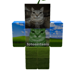 ffotosintesiss Roblox developer avatar