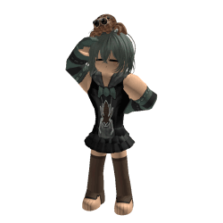 Zedolany Roblox developer avatar