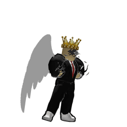Laur20065 Roblox developer avatar