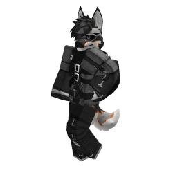 liminaIdrifter Roblox developer avatar