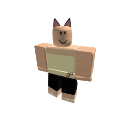 neon silver studios Roblox developer avatar