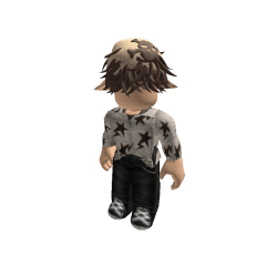 Frytka3643 Roblox developer avatar