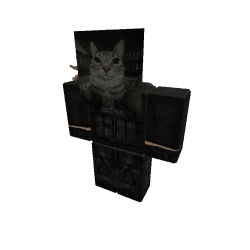 PlatinumFive Roblox developer avatar