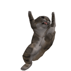 quinowenryanjen Roblox developer avatar