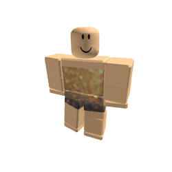 fans de fan Roblox developer avatar