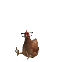 OniwaPenut Roblox developer avatar