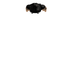 chrisklucil1 Roblox developer avatar