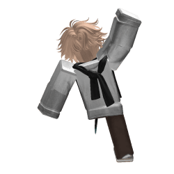 solareonk Roblox developer avatar