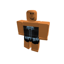 Narrowo11 Roblox developer avatar