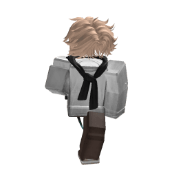 solareonk Roblox developer avatar