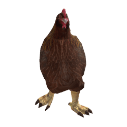 Florika11 Roblox developer avatar
