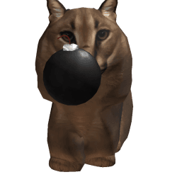 kittyMandarinkaCute Roblox developer avatar