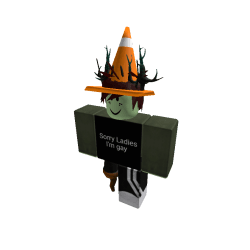 Chick N' Go Roblox developer avatar