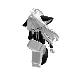 youtube_usa02 Roblox developer avatar