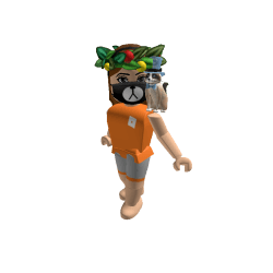 Big Dodo Roblox developer avatar