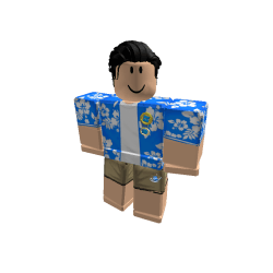 Enferrujado_BR Roblox developer avatar